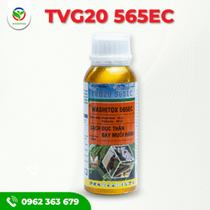 TVG20 565EC - TỔNG HỢP